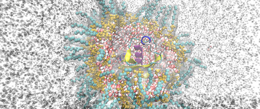 Simulierte biomolekulare Strukturen